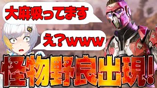 【Apexモバイル】過去一ヤバい野良出現!!白金レオ超困惑の神回!【エーペックスレジェンズ】【APEXMOBILE】【白金 レオ】