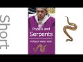 Pope's and Serpents, WHY? #walterveith #serpent #satan #dragon #snake #Vatican #3am #pope #Rome #3am