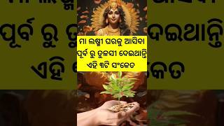 ମା ଲଷ୍ମୀ ଘରକୁ ଆସିବା ପୂର୍ବ ରୁ ତୁଳସୀ ଦେଇଥାନ୍ତି ଏହି ୩ଟି ସଂକେତ #shorts #shortsodia #shortsfeed