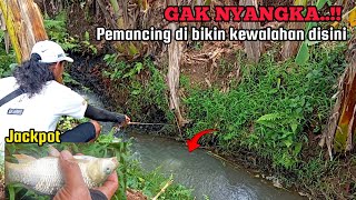 GAK NYANGKA..!! SUNGAI BANJIR IKANNYA NAIK KE SELOKAN || MANCING IKAN MAS DAN WADER