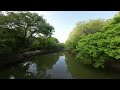 goatman’s bridge in denton texas