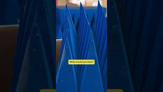 If You Removed All Sound | Fusing Art & Science | PBS SoCal