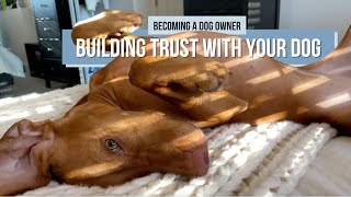 How to Build Trust with Your Dog and Strengthen Your Bond