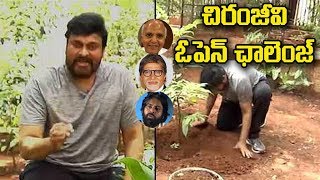 Chiranjeevi Straight Challenge To Pawan Kalyan And Amitabh Bachchan  \u0026 Sri Ramoji Rao