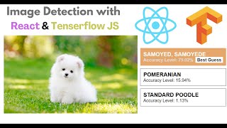 Image Detection using Tensorflow JS in React
