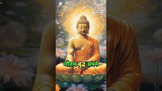 सही समय का इन्तजार करो l Buddha motivational short video 🔥🔥 #shortsfeed #buddhism #buddhiststory