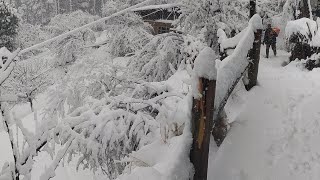 The best Snowfall ever in 2022 #nature #travel #beautifulview #bhaderwahvalley #villagelife #snow