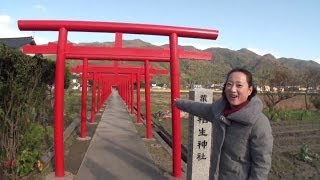 惊奇日本：被電車截成兩半的神社【神社境内の珍光景】～ビックリ日本～