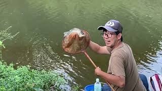 相模川のちょっとした淀みで釣りしてみたら…