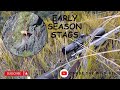 HUNT FOR EARLY SEASON STAGS | HIGH DEER NUMBERS BUT DO WE FIND THE BIG BOY!! 7MM BLASER & REM MAG