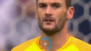 Dragonfly attacks hugo LLoris vs uruaguy in the world cup Russia 2018
