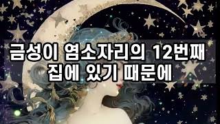 💫2024년 1월 별자리❤️내게 인생의 의미는 무엇일까?❤️ 2024년에는 답이 있을지도 모릅니다💫