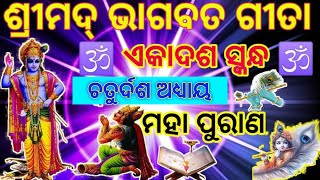 ଓଡ଼ିଆ ଭାଗବତ ଗୀତା ଏକାଦଶ ସ୍କନ୍ଦ (ଚତୁର୍ଦଶ ଅଧ୍ୟାୟ)  // ପ୍ରତ୍ୟକ ଦିନ ଏହାକୁ ଶୁଣନ୍ତୁ // odia bhagabat gita