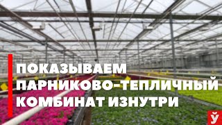 Минский парниково-тепличный комбинат. Отправляемся туда, где круглый год лето