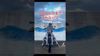 神栖市千人画廊へツーリング予定の方へ#バイク女子 #千人画廊#神栖市 #バイク乗りに届け#ハーレー #ハーレー女子