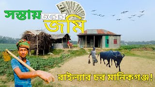 সস্তায় চরের জমি মানিকগঞ্জের সাটুরিয়া রাইল্যার চর বাড়ি ও খামার করার উপযোগী! village life in BD