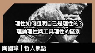 理性如何證明自己是理性的？理論理性與工具理性的區別？陶國璋《哲人絮語》143