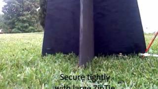 Assembling a BMSB Trap