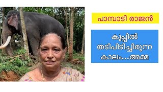 Pampady Rajanകുപ്പിൽ തടിപിടിച്ചപ്പോൾ അമ്മ@VMPRADEEP #wildlifeanimals#shorts