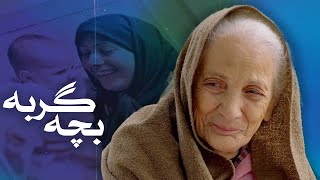 فیلم بچه گربه (تقدیم به تمام مادران جهان) - فیلم کوتاه | Film Bache Gorbe - Short Movie