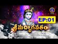 Srimad Bhagavatham || Sri Seshacharyula || Ep 01 || 20-11-2024 || SVBC TTD