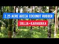 2.25 Acre Areca Coconut Rubber Agri Farm For Sale | Sullia | Karnataka (Acre 46 Lakh)