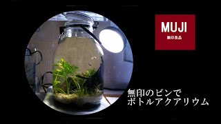 無印良品の果実酒用ビンでボトルアクアリウム作成【幹之メダカ】