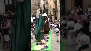 Gegants de la Ciutat trepitjant la catifa floral del Corpus 2022 #gegants #viral