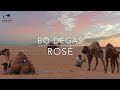 Bo Degas - Rosé