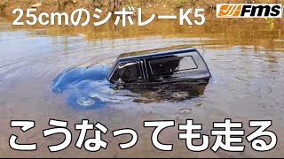 【ミニ四駆サイズ】25cmだがあり得ない走破性能を備えたシボレーのラジコン / FMS FCX-24 CHEVROLET K5 BLAZER 1:24 RTR @fmsmodelRC