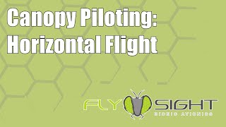 Canopy Piloting: Horizontal Flight