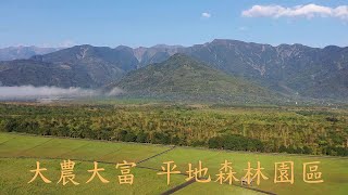 鳥瞰花蓮光復鄉  - 大農 大富 - 平地森林園區