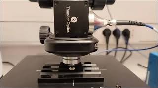 Gem-O-RS 532 from Thunder Optics – Spectra Acquisition & Sample Identification with Spectragryph