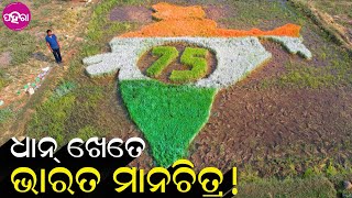 Kalahandi: କଲାହାଣ୍ଡିର୍ ଇ ଆଜ୍ଞା କାଏଁଯେ ତାଁକର୍ ଧାନ୍ ଖେତେ ଭାରତର୍ ମାନଚିତ୍ର କାଟିଛନ୍?