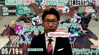 【椎チャンネル】椎名の馬部屋_5/18撮影_近況報告