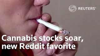 Cannabis stocks get high on Reddit-fueled rally