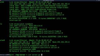 Setup a Webserver with Python Linux Tutorials clip21