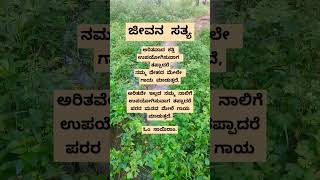 #ಜೀವನ ಸತ್ಯ #ಕನ್ನಡ #quotes