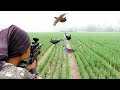 BERBURU BURUNG RUAK RUAK DI TEMPAT PERKUMPULAN RAHASIA