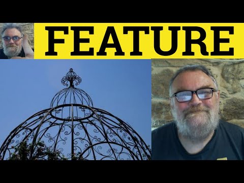 What are some examples of features?