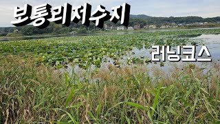 화성 보통리저수지 러닝코스 #보통리저수지