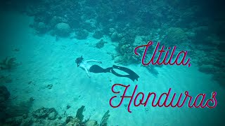 Misadventures in Utila, Honduras