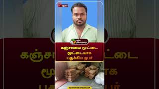 கஞ்சாவை மூட்டை மூட்டையாக பதுக்கிய நபர்  | மதுரை | #madurai | #kanja | #shorts