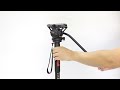 coman professional camera monopod