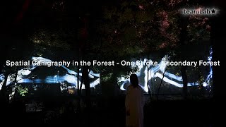 Spatial Calligraphy in the Forest - One Stroke, Secondary Forest