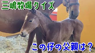 【三嶋牧場クイズ】この仔の父親は？