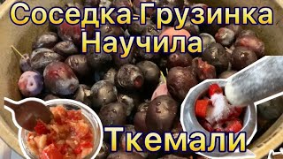 Научила Соседка-Грузинка/Ткемали/Простой в приготовлении и очень вкусный