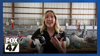 3 events you didn't know were happening at the Ingham County Fair