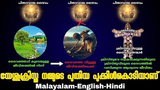 യേശുക്രിസ്തു നമ്മുടെ പുതിയ പുക്കിൾകൊടി ആണ്.Christ is our new umbilical cord.