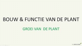 Bouw en functie van de plant - groei van de plant